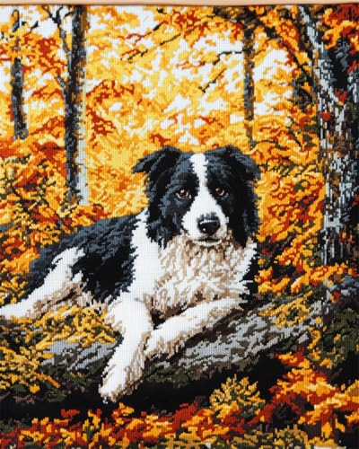 Diy-Teppich Knüpfstern Knüpfset Mit Border-Collie-Tiermotiv，Hund Im Wald，Knüpfset Für Teppichherstellung Für Erwachsene Und Kinder，Kreuzstichset，Teppichherstellung，Kissen，Handarbeit 100x140cm von N.LANSHAN