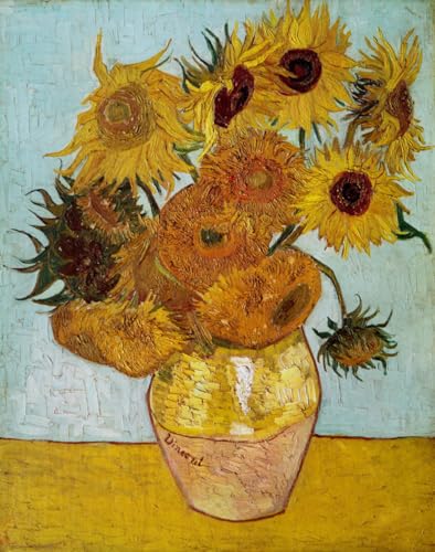 Kreuzstich Stickpackungen Vorgedruckt 《Sonnenblume》, Ölgemälde Von Van Gogh Einfache Muster, Stickerei, Kreuzstich-Zubehör Diy Stickbilder Vorgedruckt Kreuzstich Für Anfänger Home Decor St 30x40cm von N.LANSHAN