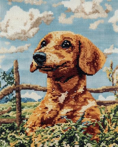 N.LANSHAN 11CT Diy Cross Stitch Kit Bauernhof Dackel Tier Kreuzstich Stickpackung Vorgedruckt, Stickbild Sticken Stickset Mit Anleitung Geschenk Für 50x70cm von N.LANSHAN