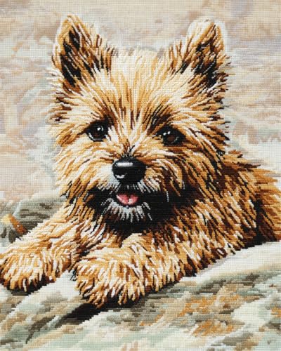 N.LANSHAN 11CT Diy Embroidery Kit Fantasie Hund Tier Kreuzstich-Ornament-Set Für Erwachsene Und Anfänger, Stickset Mit Zählmuster, Heimdekoration 60x80cm von N.LANSHAN