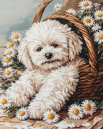 N.LANSHAN 11CT Diy Stickbilder Vorgedruckt Kreuzstich Bichon Frise Tier Und Gänseblümchen Vorgedruckt Sticken Set Stamped Cross Stitch Pre-Printed Pattern Stickerei Diy Home Decoration 80x100cm von N.LANSHAN