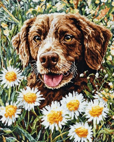 N.LANSHAN 11CT Diy Stickvorlagen Kreuzstich Hundetier Und Weiße Gänseblümchen Vorgedruckt Sticken Set Stamped Cross Stitch Pre-Printed Pattern Stickerei Diy Home Decoration 50x70cm von N.LANSHAN