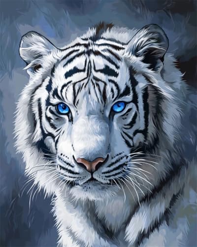 N.LANSHAN DIY Knüpfteppich Weißer Tiger Tierporträt Knüpfpackungen Für Anfänger,Senioren Und 3D-Heimwerker. Teppich-Set. 90x120cm N.LANSHAN DIY Knüpfteppich Weißer Tiger Tierporträt Knüpfpackungen Für Anfänger,Senioren Und 3D-Heimwerker. Teppich-Set. 90x120cm von N.LANSHAN