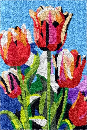 N.LANSHAN Diy Knüpfen Set Teppich Buntes Knüpfhakenset Mit Tulpenblumen. Bunte Blumen. Diy Knüpfhaken-Teppichherstellungssets Für Anfänger. Unfertiger Häkelteppich，Stickteppich 23x35in von N.LANSHAN