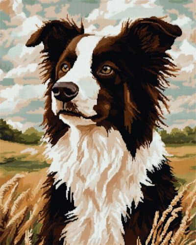 N.LANSHAN Diy Knüpfen Set Teppich Knüpfhaken-Set Mit Border-Collie-Tier，Hundeporträt，Diy-Knüpfhaken-Set，Handarbeit，Stickerei，Gobelin，Teppichherstellung，Geschenk Für Heimwerker 90x120cm von N.LANSHAN