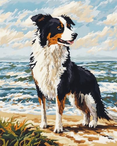 N.LANSHAN Diy Teppich Diy Set Knüpfhakenset Mit Border-Collie-Tier，Hund Am Strand，Knüpfhakensets，Teppich-Diy Für Familie Und Freunde，Handarbeit，Kreuzstichset，Basteln，Geschenke 90x120cm von N.LANSHAN