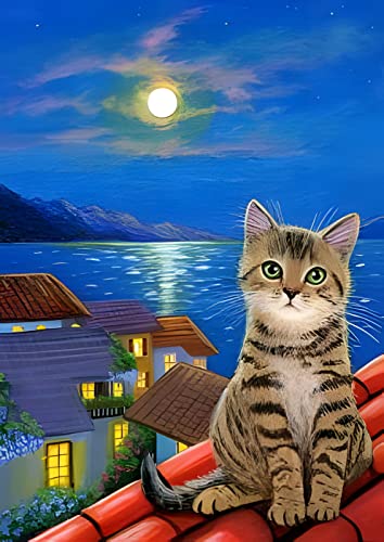 NAIMOER Diamond Painting 5D Diamant Painting Katze Diamant Malerei 5D Diamond Painting Erwachsene Full Katze Diamond Painting Set für Dekoration und Geschenk 30x40cm von NAIMOER