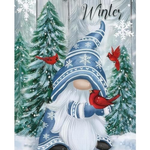 NAIMOER Gnomes Diamond Painting Erwachsene, Diamant Painting Bilder Diamond Painting Weihnachten Erwachsene Weihnachtsbaum Diamond Painting Kinder 5D Diamant Malerei Set für Home Décor(30x40cm) von NAIMOER