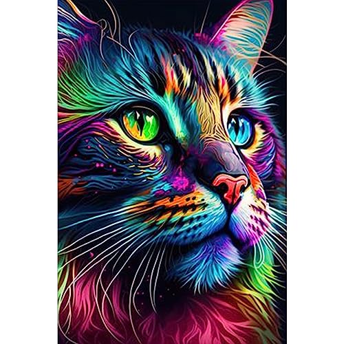 NAIMOER Kat Diamond Painting Kits für Erwachsene Kinder, 5D Diamant Painting Kat Bilder Erwachsene, Diamond Painting Tiere Bilder Kinder Malerei Set für Home Dekor 30x40cm von NAIMOER