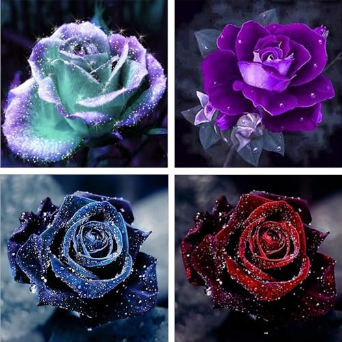 NAIMOER Rosen Diamond Painting Erwachsene, 5D Diamant Painting Blumen Bilder, Diamond Painting Set Erwachsene Blumen Diamond Painting Kinder 5D Diamant Malerei für Home Wand Décor 30x40cm von NAIMOER