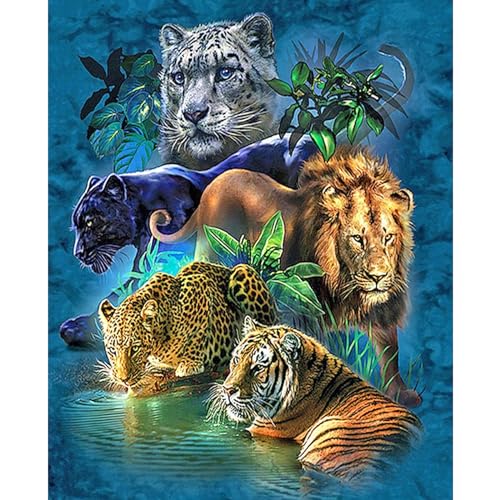 NAIMOER Tiger Diamond Painting Erwachsene, Diamant Painting Bilder Tiere Diamond Painting Erwachsene Tiger Diamond Painting Kinder 5D Diamant Malerei Set für Home Décor(30x40cm) von NAIMOER