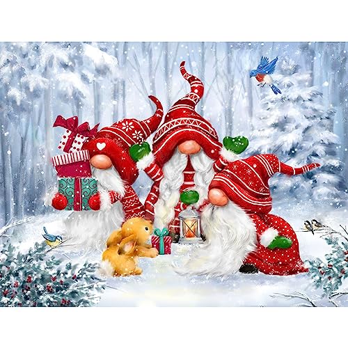 NAIMOER Weihnachten Diamond Painting Kits für Erwachsene Kinder, 5D Diamant Painting Winter Bilder Erwachsene, Diamond Painting Gnome Bilder Kinder Malerei Set für Home Dekor 30x40cm von NAIMOER