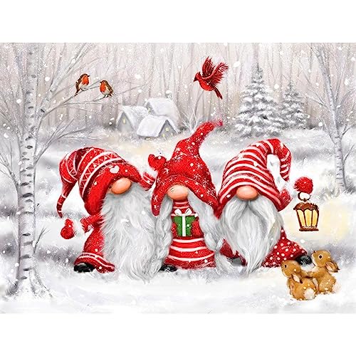 NAIMOER Weihnachtszwerge Diamond Painting Kits für Erwachsene Kinder, 5D Diamant Painting Weihnachten Bilder Erwachsene, Diamond Painting Gnome Bilder Kinder Malerei Set für Home Dekor 30x40cm von NAIMOER