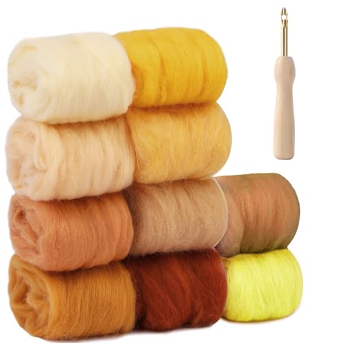 NAROSEBE 10 Farben Nadelfilz Set, Nadelfilz Wolle, Nadel Filz Wolle Kit mit Filznadeln, Filzwolle Set je 10 g, Filzwolle Nassfilzen Nadelfilzen Set für Filzwolle Trockenfilzen DIY Handwerk von NAROSEBE