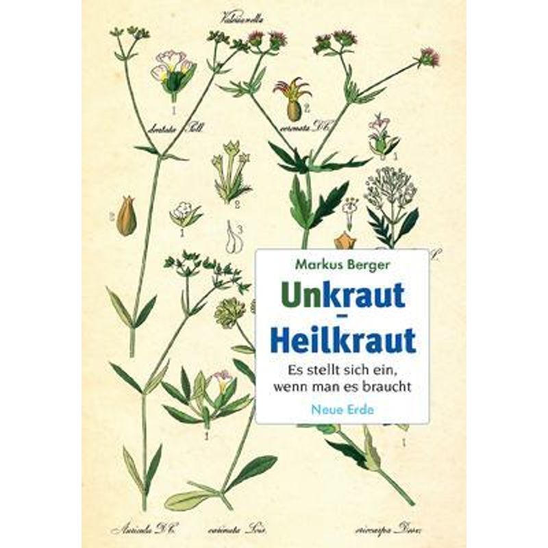 Unkraut - Heilkraut - Markus Berger, Kartoniert (TB) von NEUE ERDE GMBH