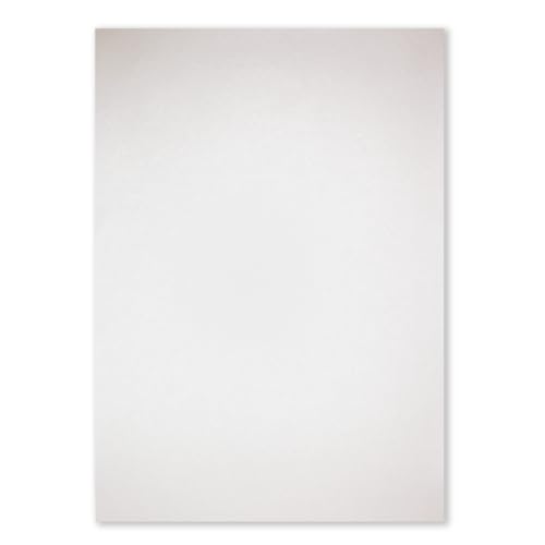 NEUSER PAPIER Papierbogen Metallic DIN A4-210 x 297 mm - Champagner - 150 Stück - 125 g/m² - Glanzpapier zum Basteln, bedruckbar, Kartenherstellung, Einladungen, Briefpapier von NEUSER PAPIER