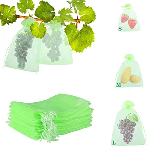 50 Stück 30x40CM Traubenschutzbeutel Grün Fruchtschutzbeutel mit Kordelzug Organzabeutel Transparenter Netzbeutel für Garten Zum Verhindern Wespen Fruchtfliegen Insekt Vögel von NEWUPZSI