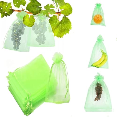 50 Stück Traubenschutzbeutel Grün 30x40CM Fruchtschutzbeutel mit Kordelzug Organzabeutel Transparenter Netzbeutel für Garten Zum Verhindern Wespen Fruchtfliegen Insekt Vögel von NEWUPZSI