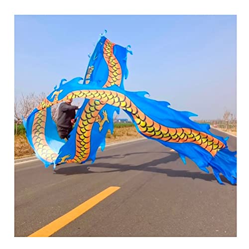 Drachentanzband Drachen-Band-Streamer Outdoor-Flinging-Drachen-Druck-Tanz-Luftschlangen, bunte Seiden-Drachen-Tanz-Luftschlangen, traditionelles chinesisches Folk-Sport-Fitness-Band(Blu,10m/33ft) von NFOQRVKW