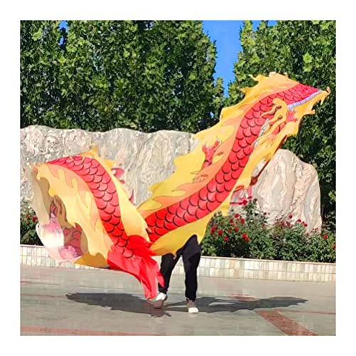 Drachentanzband Dragon Ribbon Streamer Outdoor-Flinging Dragon Print Dance Streamer, Outdoor-Fitness for Erwachsene, die Seidenbänder schwingt und dreht, Feierausrüstung(8m/26ft) von NFOQRVKW