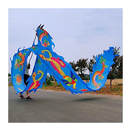 Drachentanzband Dragon Ribbon Streamer Outdoor Flinging Dragon Print Dance Streamer, bunte Drachentanz-Streamer aus Seide, Erwachsene Kinder Spin Swing Sports Fitness Ribbon(Blu,10m/33ft) von NFOQRVKW