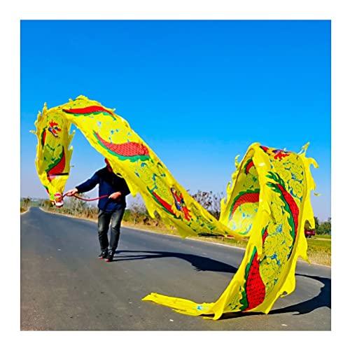 Drachentanzband Dragon Ribbon Streamer Outdoor Flinging Dragon Print Dance Streamer, bunte Drachentanz-Streamer aus Seide, Outdoor Square Park Sports Fitness Ribbon(Unique Colour,10m/33ft) von NFOQRVKW