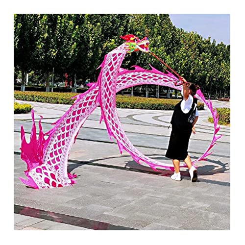 Drachentanzband Dragon Ribbon Streamer Outdoor Flinging Dragon Print Dance Streamer, chinesischer Square Dance ältere Fitness-Aktivität bunter Drachentanz-Streamer aus Seide(Roze,10m/33ft) von NFOQRVKW