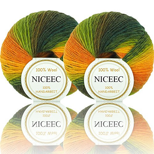 2 Knäuel Regenbogen weiches Garn 100% Wolle Farbverlauf Multi Color Garn zum Häkeln Stricken Gesamtlänge 180m×2(196yds×2,50g×2)-4 von NICEEC