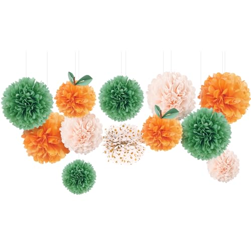 NICROHOME 12 PCS Seidenpapier Pom Poms für Hochzeit Geburtstag Baby Dusche Prom Festival Party Hintergrund Dekoration (Little Cutie) von NICROHOME EUR