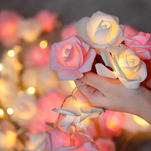 3M/6M Rose Flower String Lights Fairy String Lights, Christmas String Lights, Red Rose Flower Lights for Home Fireplace Mantel Xmas Decor von NKNLKS