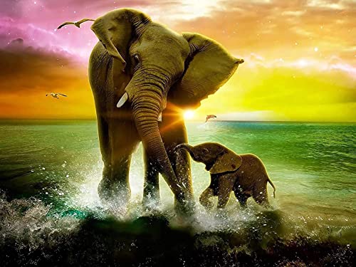 Hoobee 5D Diamond Painting DIY Set Elefant, Diamond Painting Bilder Tier, Vollbohrer Stickerei Kreuzstich Kunst Handwerk für Zuhause Wanddekoration (30×40 cm) von NOASR