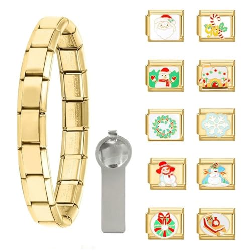 NOLOWY Vintage Italienisches Charm Armband Anhänger Set Edelstahl Modular Anhänger Charm zum Basteln unverwechselbares Armband von NOLOWY