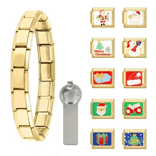 NOLOWY Vintage Italienisches Charm Armband Anhänger Set Edelstahl Modular Anhänger Charm zum Basteln unverwechselbares Armband von NOLOWY