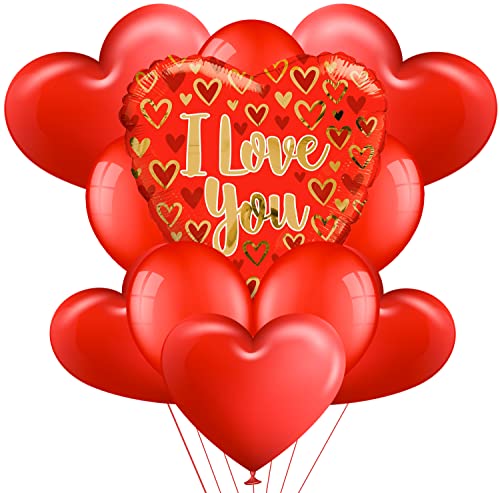 Akita Kit Romantisches Bouquet Herz XXL 1 riesiges Herz 5 rote Herzballons 5 runde rote Herzballons für romantische Dekoration, Valentinstag, Jahrestag Hochzeit und Verlobung (I Love You 1) von NONSOLOINFORMATICA