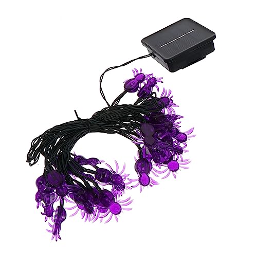 NUOBESTY 1Pc Schnur Solarspinnenleichterkette Lichter im Freien LED Solar-Lichterketten für den Außenbereich Solar-Halloween-Dekorationen Solarseillichter pp Violett NUOBESTY 1Pc Schnur Solarspinnenleichterkette Lichter im Freien LED Solar-Lichterketten für den Außenbereich Solar-Halloween-Dekorationen Solarseillichter pp Violett von NUOBESTY