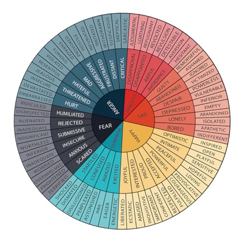 NUOBESTY Emotion-Rad-Aufkleber Gefühlsrad-Aufkleber emotionales Rad Stimmungsdiagramm Farbrad-Poster Emotionale Aufkleber Selbstklebende Aufkleber Emotionsrad Gefühlsradkissen PVC von NUOBESTY