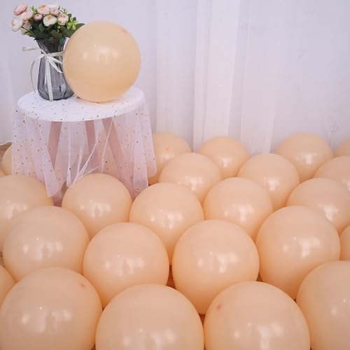 NUZBCPETR 30er-Packung kleiner 5-Zoll-Latexballons in Pastellfarben – perfekte Dekoration for Partys, Hochzeiten und mehr(Apricot,10inch) von NUZBCPETR