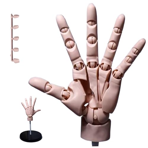 Zeichnungsfigur, Handmodell 1: 1 artikulierte Schaufensterpupplung Handbewegungsgelenk Manikin Hand mit Basis -DIY -PVC -Handmodell zum Zeichnen, Malerei, Skizzieren, Teint von Naisicatar