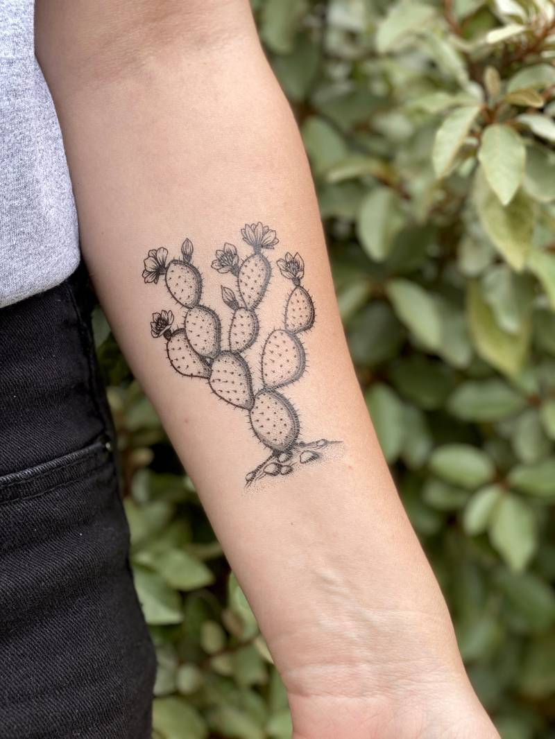 Feigenkaktus Temporäres Tattoo, Kaktus-Liebhaber-Geschenk von NatureTats