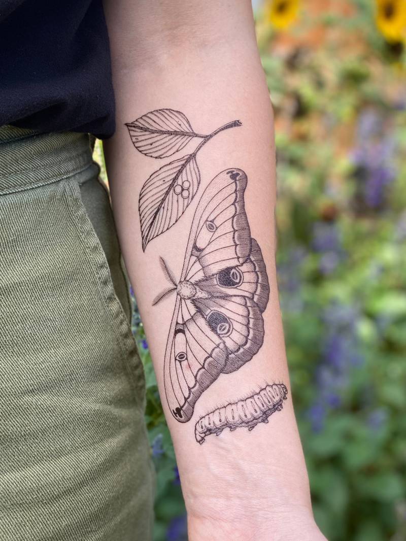 Polyphemus Motte Temporäres Tattoo, Lebenszyklus Design, Geschenk Für Naturliebhaber, Weihnachtsgeschenk von NatureTats