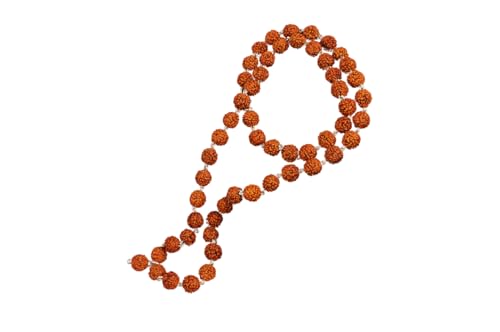 Navkaarart Rudraksha Punchmukhi Mala aus 54 Silberdraht + 1 Perlen (Größe: 5 mm), Medium, Rudraksha, ohne Edelstein von Navkaarart