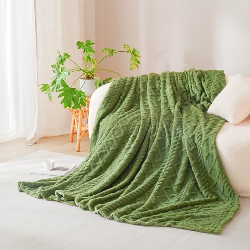 Nayoroom Kuscheldecke Winter Flauschig Cashmere Touch Fleecedecke 150x200 Grün Warm Flanell Decke Kuschelig Wolle Aesthetic Wohndecke Dunkelgrün Wolldecken Weiche Sofadecken für Couch überwurf Set von Nayoroom