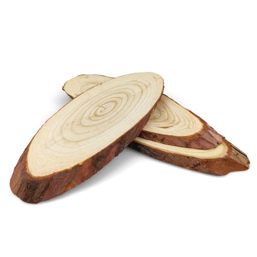 3x Holzscheiben Baumscheiben Deko Holzscheiben 20 cm oval ohne Loch Naturholz ideal für Dekoration Handwerk DIY zum Basteln Bemalen Weihnachten Hochzeit von Netuno