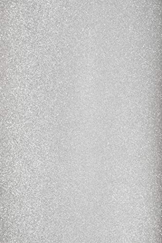 50 x Silber Glitzer Papier selbstklebend DIN A4 210×297 mm 150g Aster Glitter Papier Glitzer farbiges Karton-Papier für Deko-Projekte Bastel-Papier Silber Effekt-Papier glitzerndes Kartonpapier von Netuno