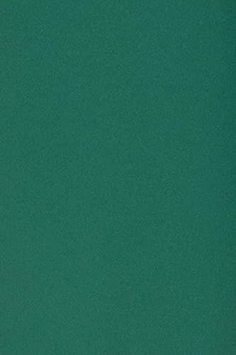 Netuno 10 x Tonkarton DIN A3 297x 420 mm Dunkelgrün 250g Burano English Green Bastelkarton einfarbig Fotokarton A3 bunt durchgefärbt Feinpapier DIY Bogen Kreativ-Karton farbig buntes Tonpapier von Netuno