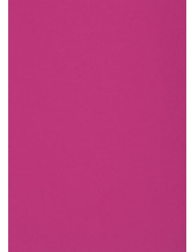 Netuno 100 Blatt Fotokarton Dunkel-Rosa DIN A4 21 x 29,7 cm 300g Malmero Bougainvillee farbiger Bastelkarton Farbkarton bunt für Menü-Karten Einladungen Kreativkarton dickes Bastelpapier Naturkarton von Netuno