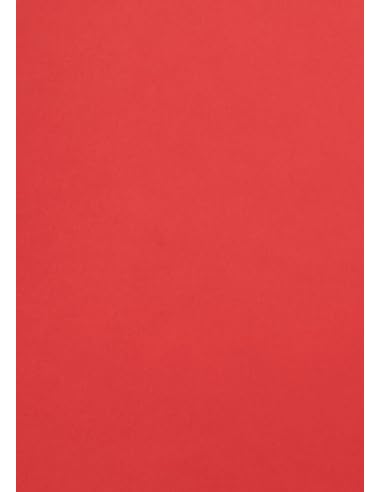 Netuno 100 Blatt Fotokarton Rot DIN A4 21 x 29,7 cm 300g Malmero Vermillon dicker Bastelkarton farbig A4 für Visitenkarten Einladungen Basteln Kreativkarton bunt Farbkarton für Karten Feinkarton von Netuno