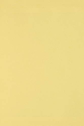 Netuno 100 x Tonkarton DIN A4 210x 297 mm Hellgelb 250g Burano Giallo Bastel-Karton farbig Fotokarton A4 bunt Karton Hochzeit Taufe Weihnachten Geburtstag DIY-Karten buntes Tonpapier von Netuno