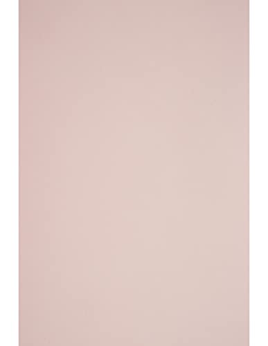 Netuno 100x Tonkarton Blass-Rosa DIN A4 210x 297 mm 290g Sirio Color Nude Bastel-Karton farbig Fotokarton A4 bunt Karton Hochzeit Taufe Weihnachten Geburtstag DIY-Karten buntes Tonpapier bedruckbar von Netuno