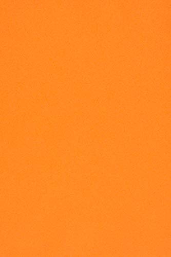 Netuno 100x Tonkarton Orange DIN A4 210 x 297 mm 170g Sirio Color Arancio Feinkarton farbig Bastelkarton A4 Ton-Zeichen-Karton bunt hochwertig für DIY Projekte Visitenkarten von Netuno